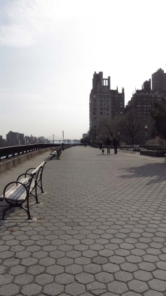 Looking South